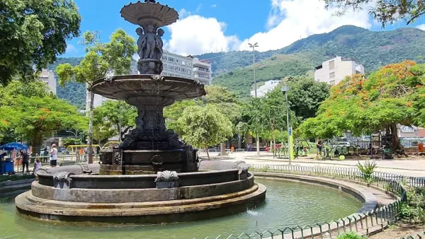 Tijuca