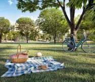 OX Park Design by Edsa